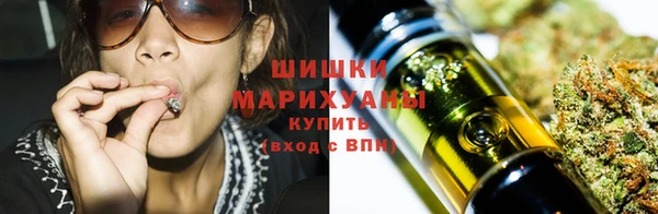 ГАЛЛЮЦИНОГЕННЫЕ ГРИБЫ Баксан