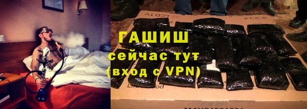 сатива Аркадак