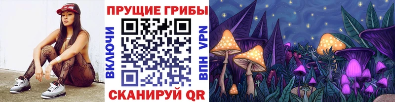 купить наркотик  Краснознаменск  Псилоцибиновые грибы мухоморы 